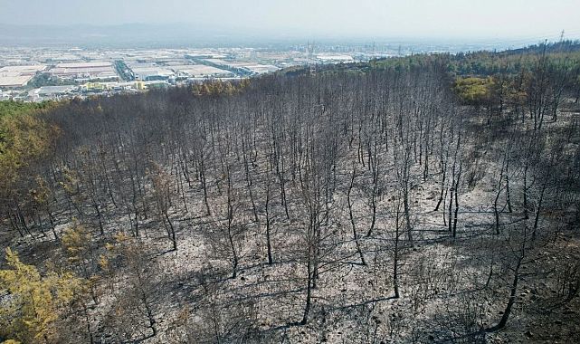 Yunusemre’deki yangında sabaha karşı kontrol sağlandı