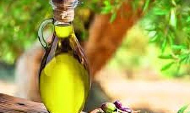 Zeytin üretimi %40 azalıyor, raf fiyatı değişebilir