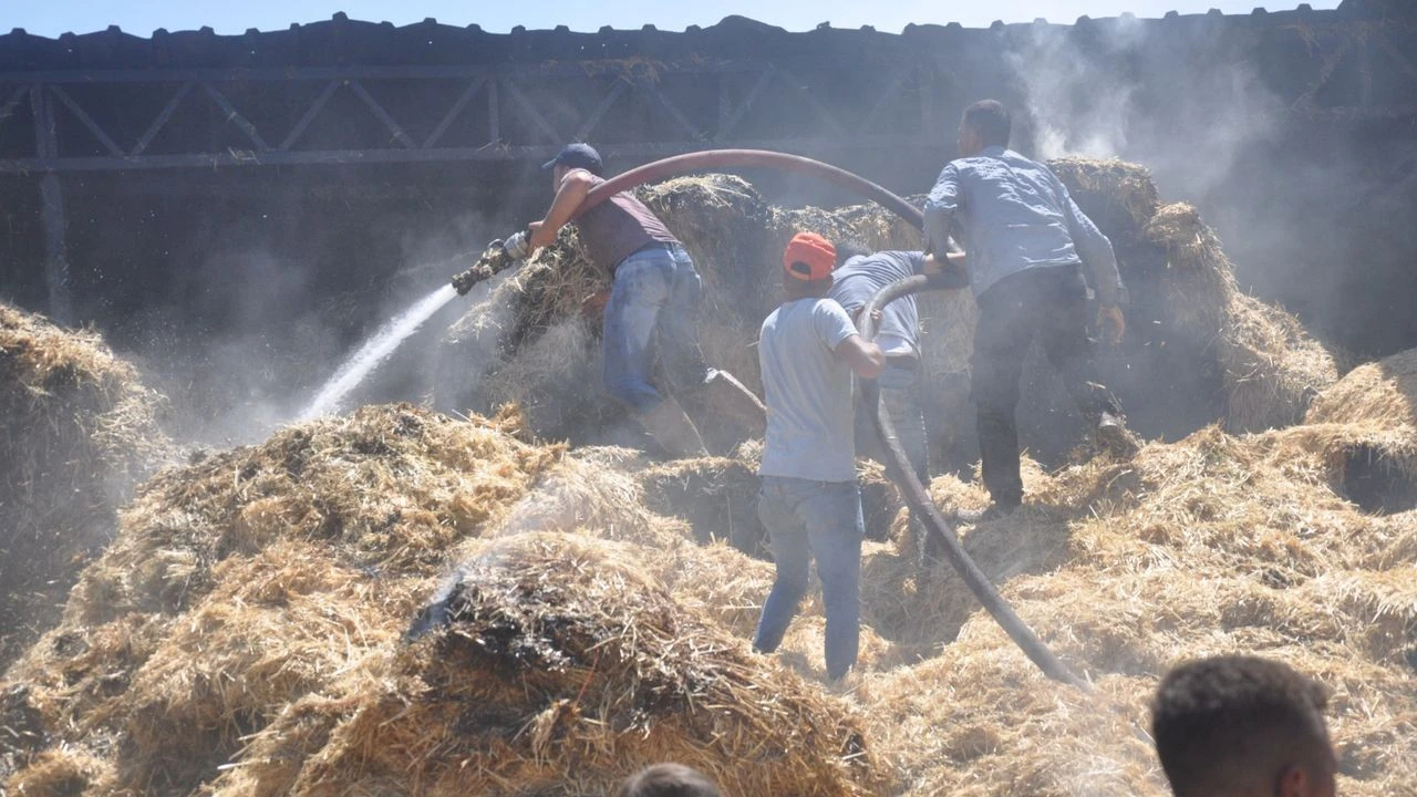 İzmir’de çiftlik yangını: Ağır kayıp yaşandı