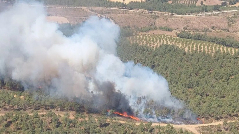Çanakkale’de orman yangını: Kazdağları tehdit altında