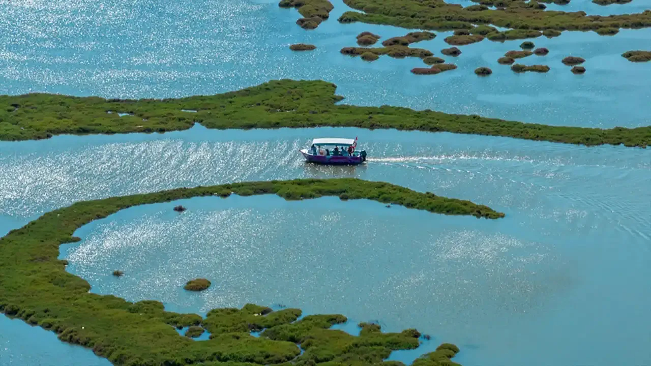 İzmir’de Flamingo Yolu Tekne Turları Başlıyor