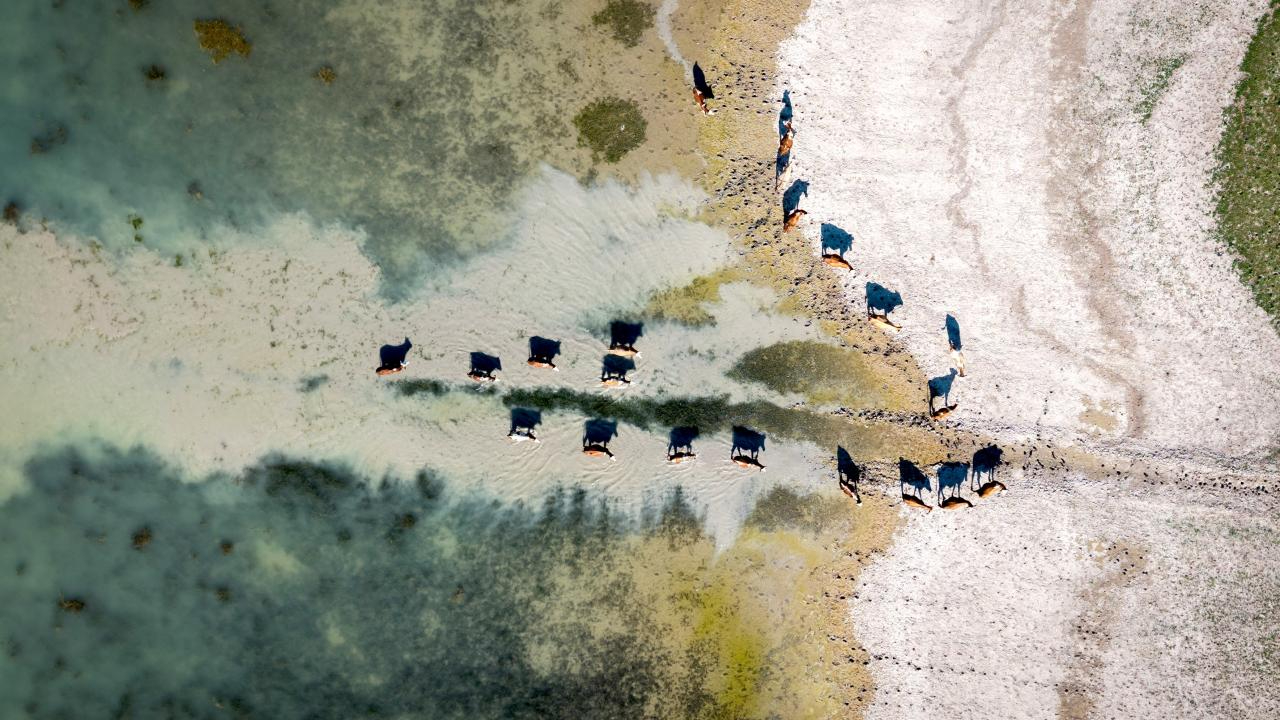 Karakaya Barajı'nda kuraklık alarmı: Su seviyesi düştü