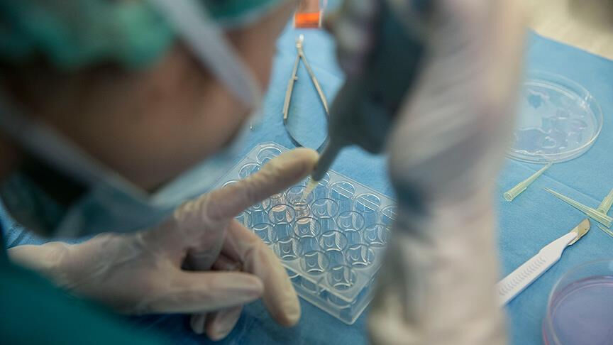 Yeni Aşı Pankreas Kanserini Temizledi