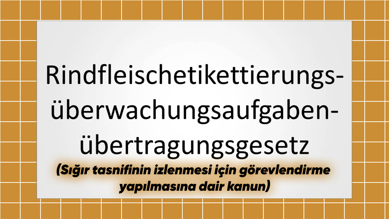 Almanca Neden Sert Bir Dil Gibi Duyuluyor?