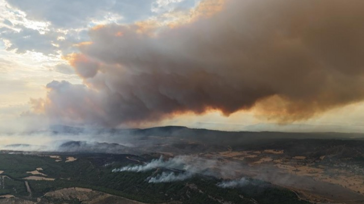 Çanakkale’de orman yangını kontrol altına alındı