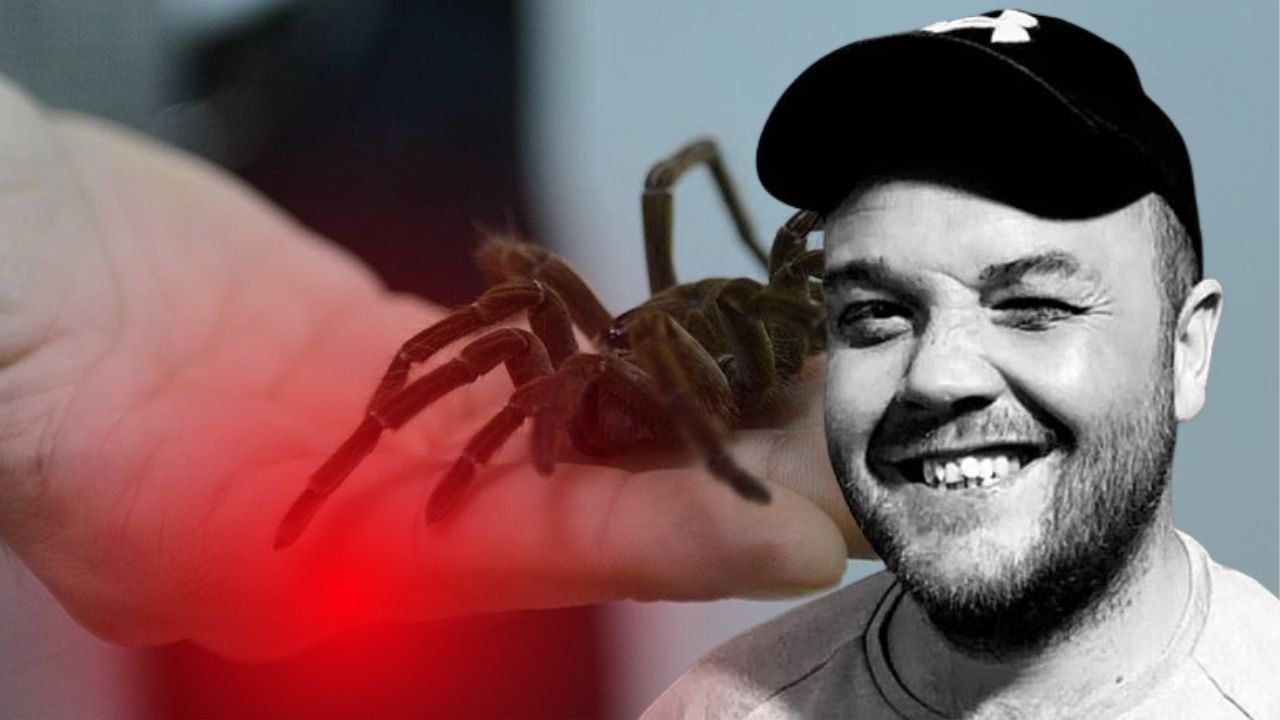 İnternetten aldığı örümcek hayatına mal oldu