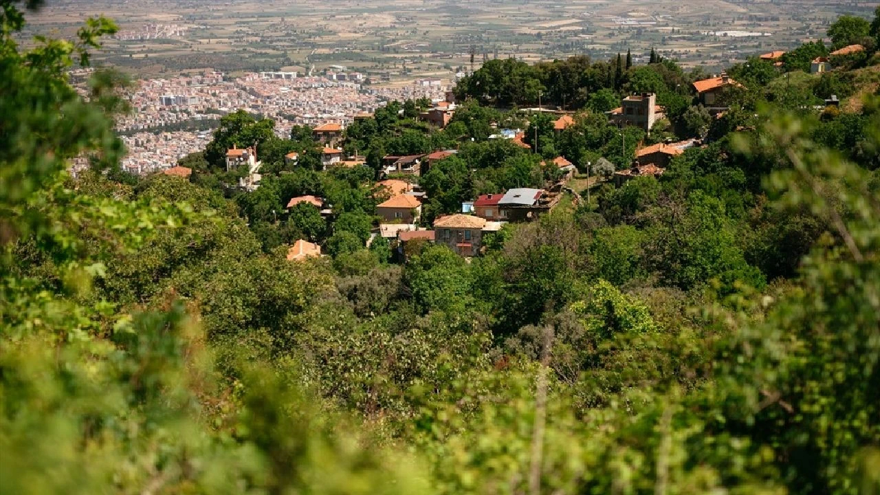 Kaplan Köyü’nde asırlık ağaçlar ve eşsiz doğa sizi bekliyor