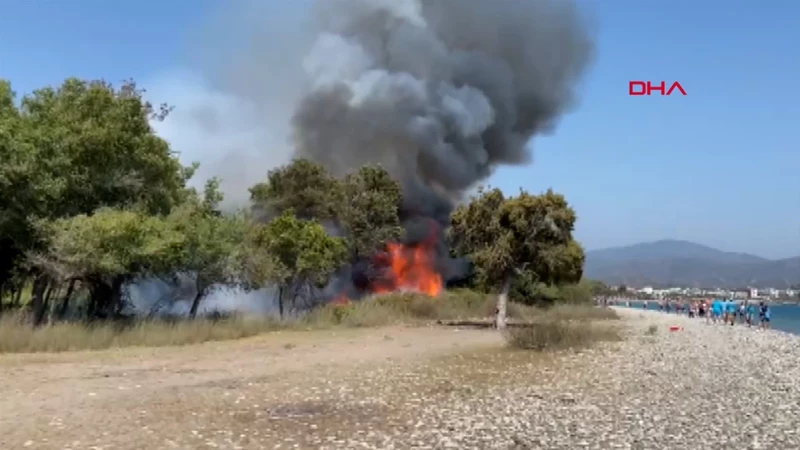 Fethiye’de Orman Yangını: Ekipler Müdahale Ediyor