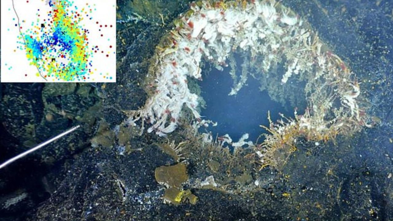 ABD açıklarında aktif yanardağ alarm veriyor