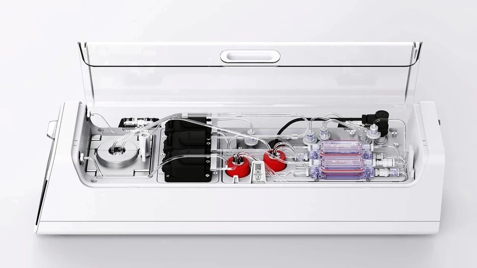 Canlı hücrelerden oluşan bilgisayar CL1 tanıtıldı