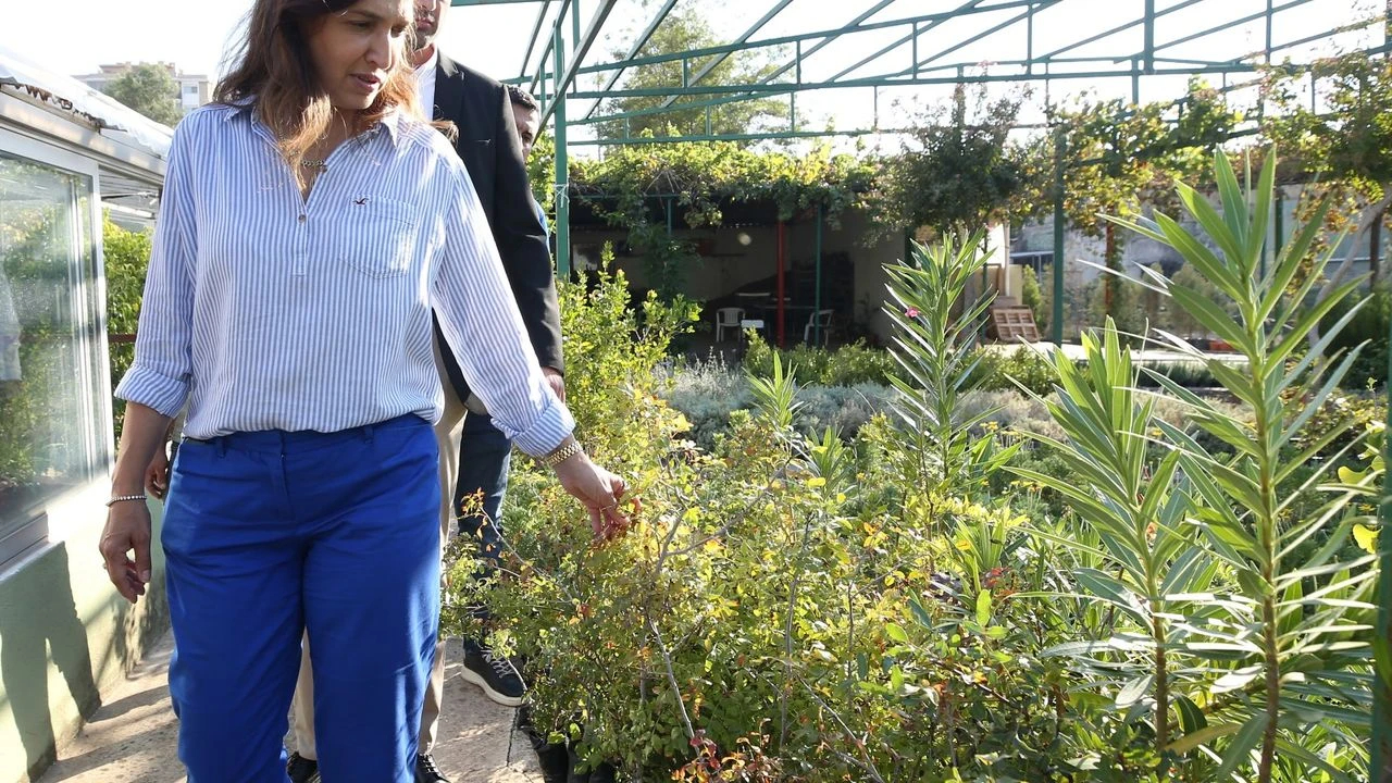 Karşıyaka’dan inşaatlara yeşil şart: Her daireye 2 fidan