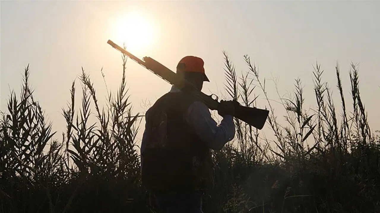 CHP&#039;den çağrı: Av yasağı tüm Türkiye&#039;yi kapsamalı