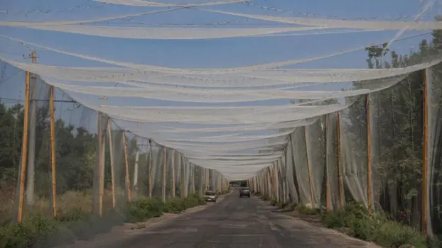 Ukrayna savunmasında Donetsk’in rolü