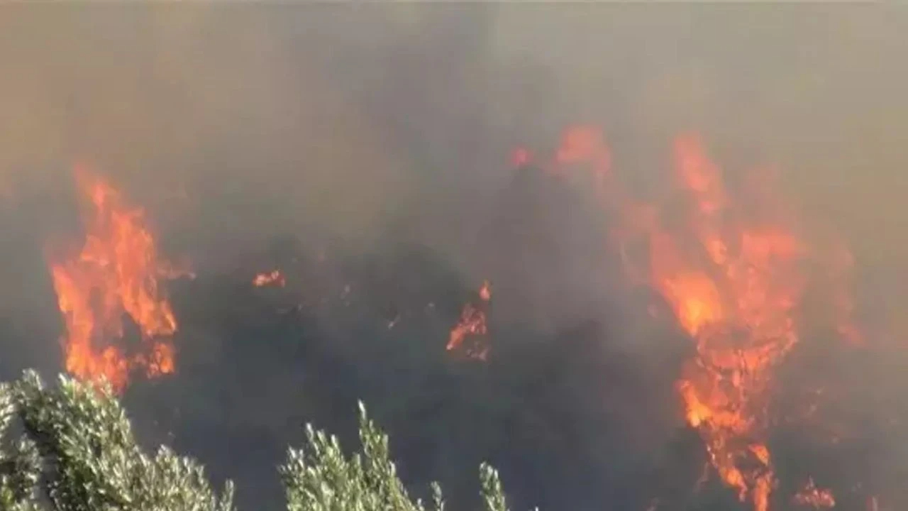 Menderes’te orman yangını: Havadan ve karadan müdahale