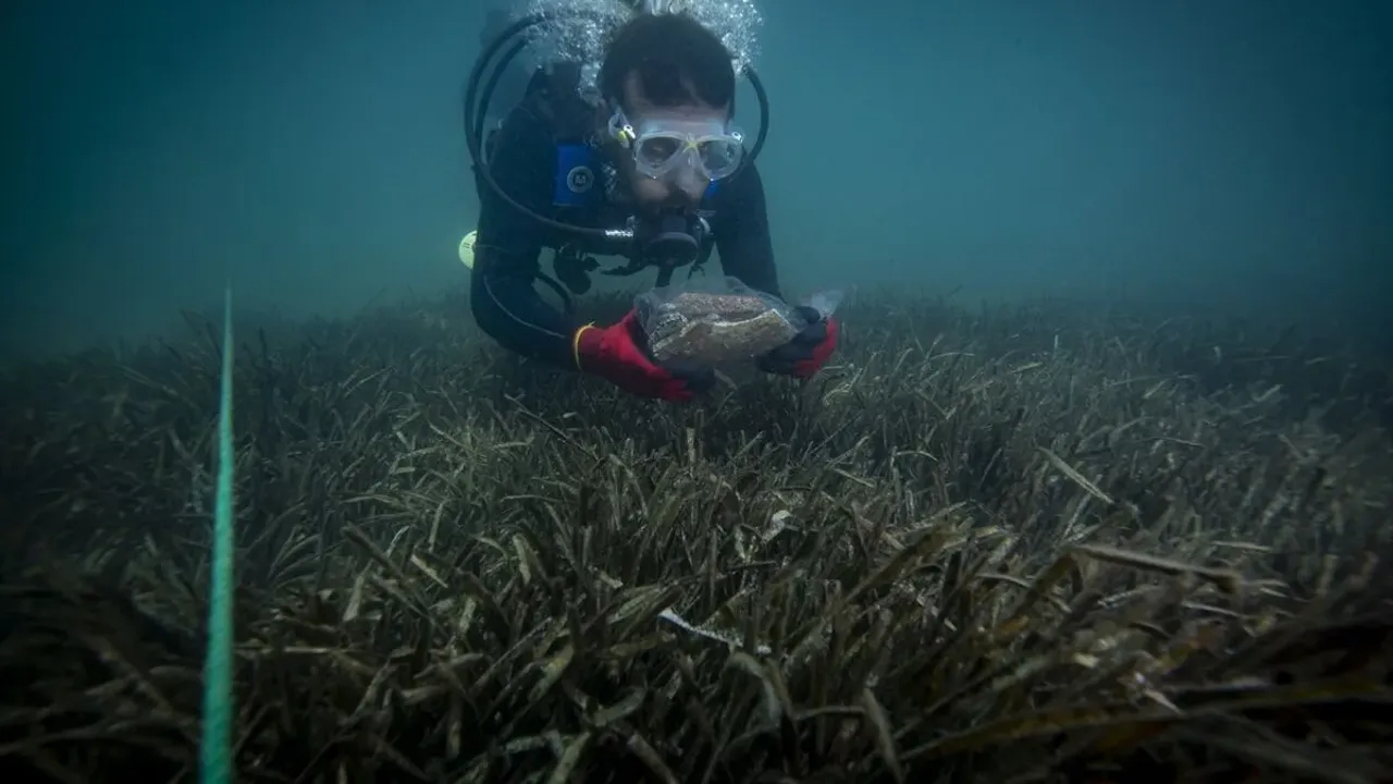 İzmir’de su altında 5 bin 300 yıllık tarihi keşif