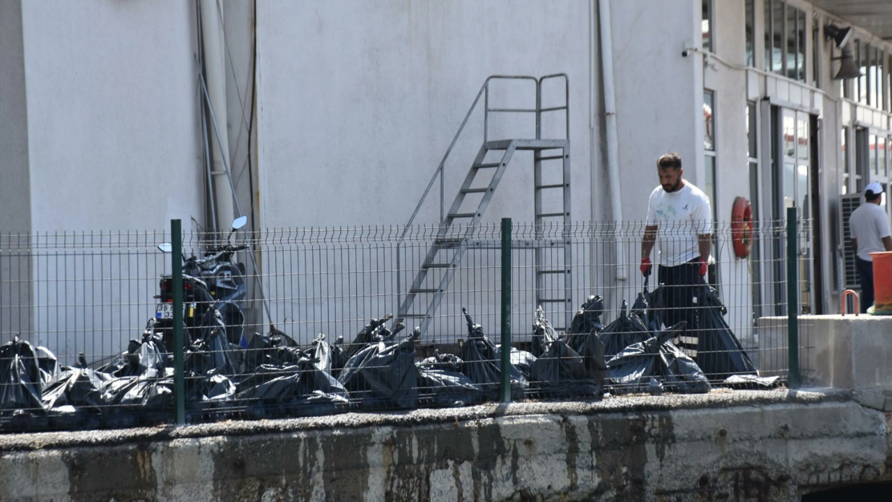 İzmir Körfezi’nde balık ölümleri ve ağır koku