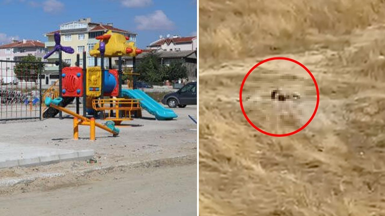 Tekirdağ’da çocuk parkı yanında fuhuş skandalı