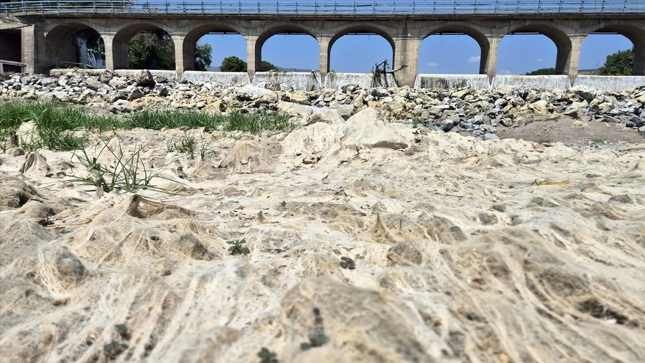 Bilim insanından Manisa uyarısı: Susuzluk kapıda