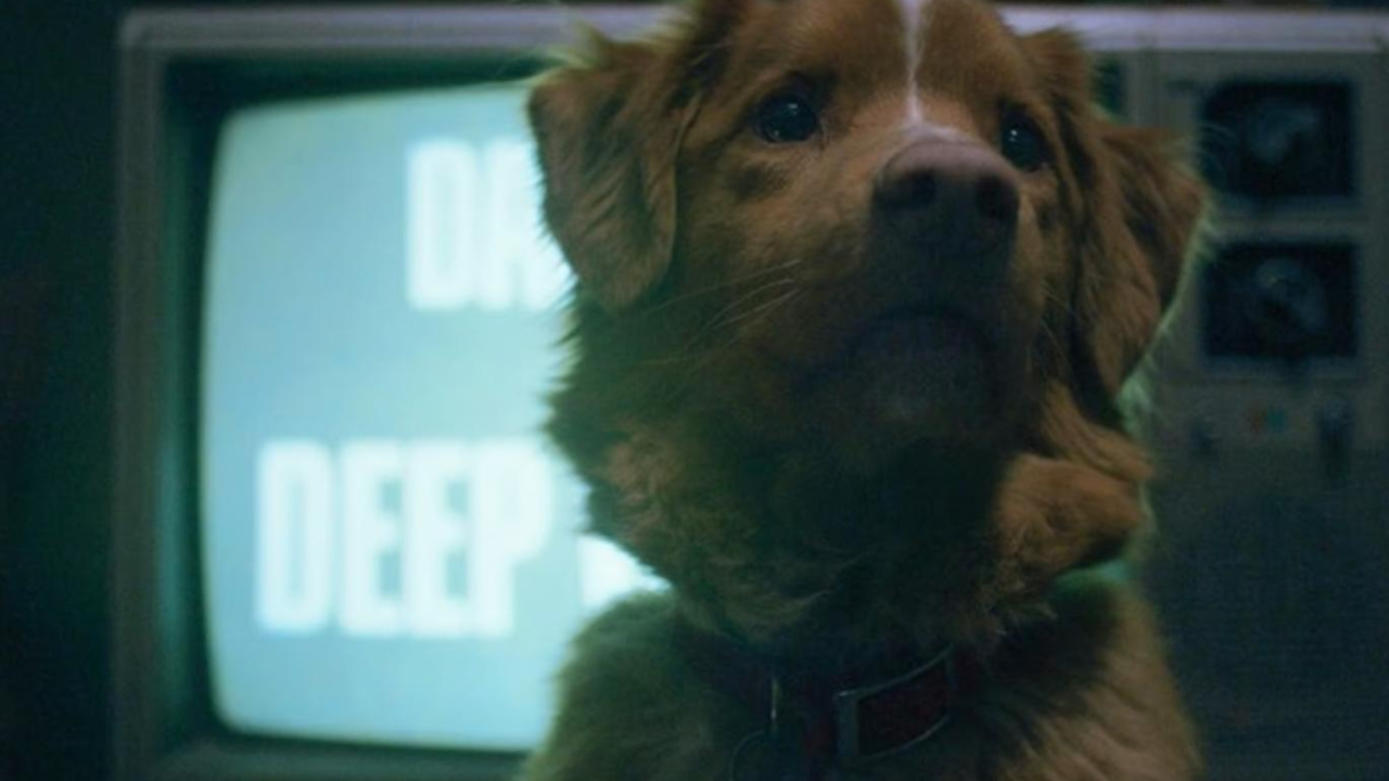 Indie korku filmi Good Boy, fragmanıyla viral oldu