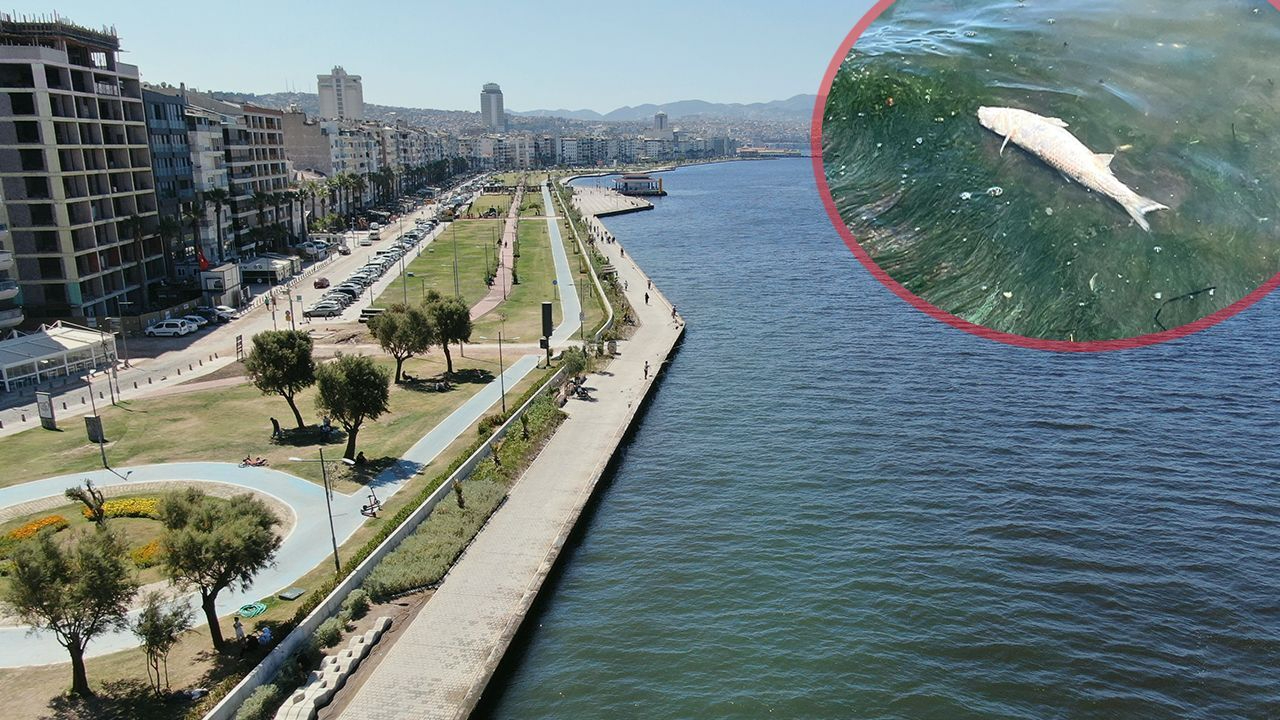 İzmir’de kötü koku hayatı olumsuz etkiliyor