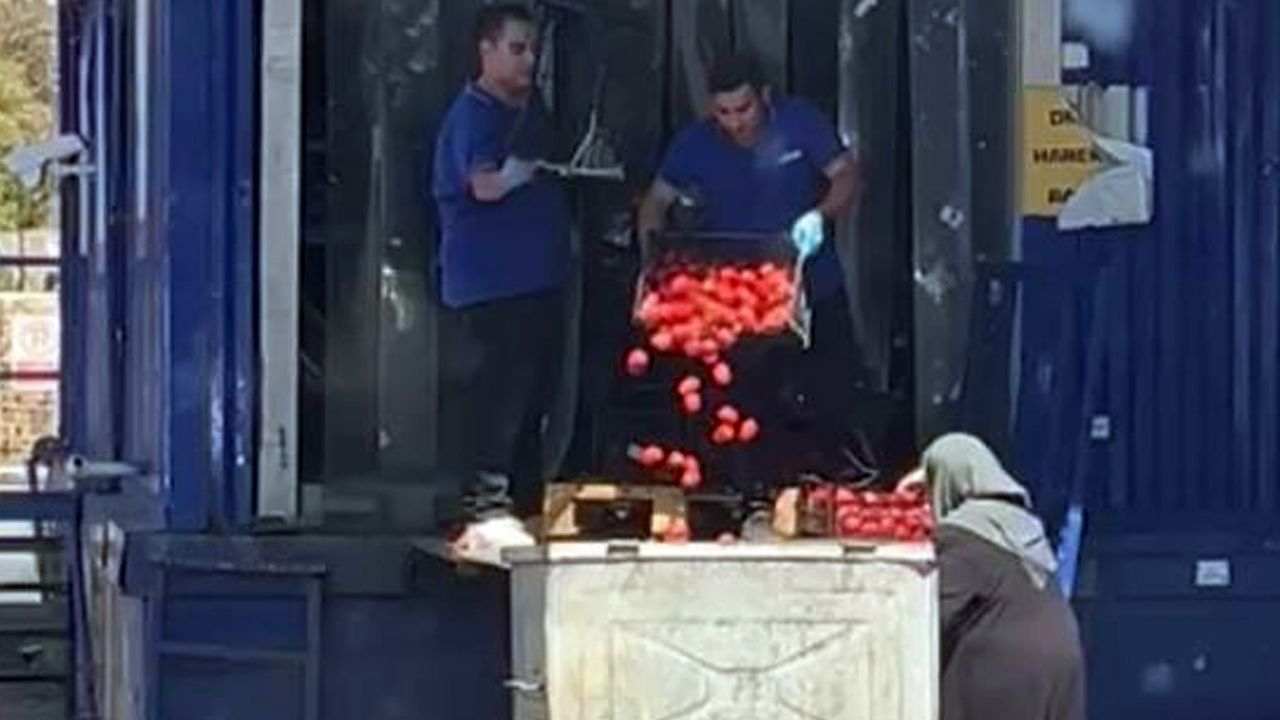 Zincir markette skandal: Kasa kasa domates çöpe atıldı