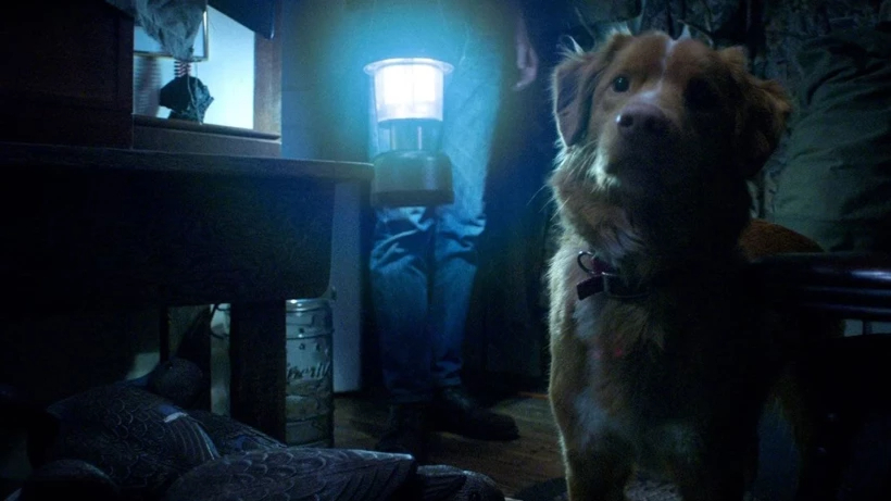 Good Boy filmi viral oldu, vizyon planı değişti