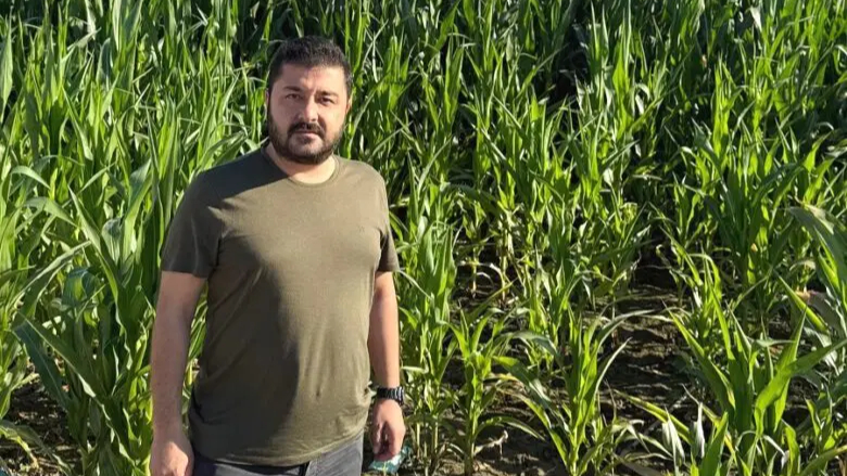 CHP’li Yazgan’dan Ayçiçeği Tepkisi: “Çiftçiyi Değil, İthalatçıyı Tercih Ettiler”