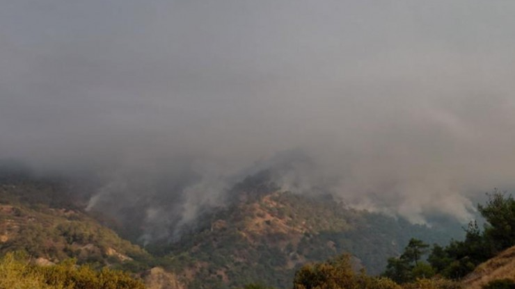 Denizli Buldan’daki orman yangını 3’üncü gününde Aydın’a ulaştı
