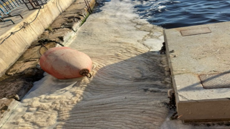 Prof. Doğan Yaşar açıkladı: İzmir&#039;de müsilaj alarmı