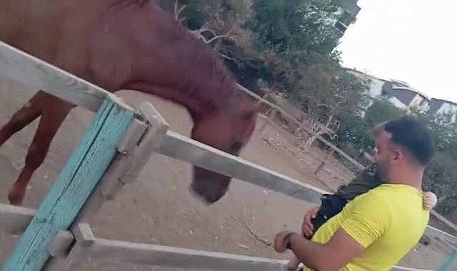 Antalya’da korku dolu anlar: At küçük çocuğa saldırdı