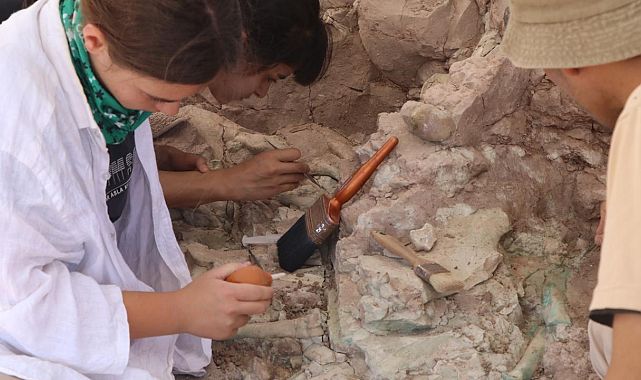 Antropologlar 9 milyon yıllık izleri sıcağa aldırmadan arıyor