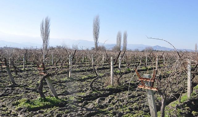 Bakanlık onay verdi: Üzümün başkentine 3 yeni JES
