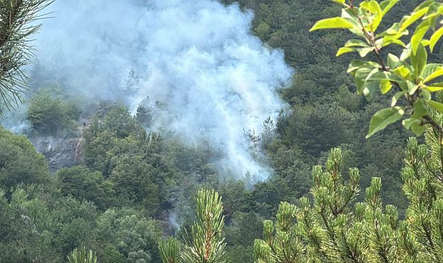 Bolu’da Pelitcik Köyü’nde orman yangını çıktı