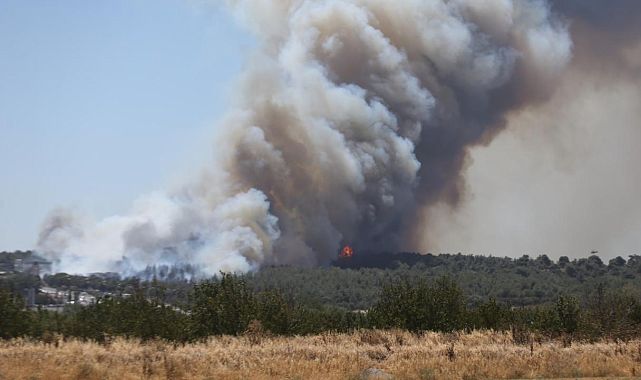 Çanakkale’de Kepez ve Ayvacık’ta orman yangını