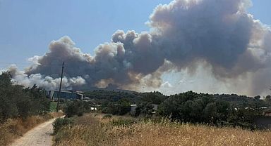 Çanakkale’de orman yangını: Boğaz trafiğe kapatıldı 