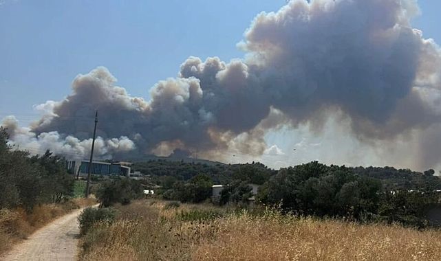 Çanakkale’de orman yangını: Boğaz trafiğe kapatıldı