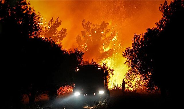 Çanakkale orman yangınında 47 kişi dumandan etkilendi