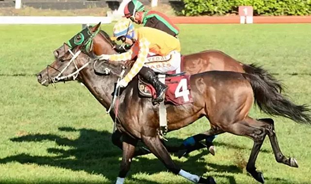 Decent Man, M. Kemal Karamehmet Koşusu’nda zaferi aldı