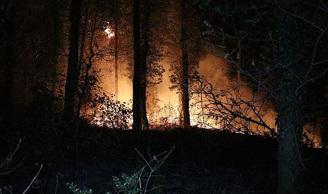 Fransa Yanıyor: Yangın Felaketi Büyüyor