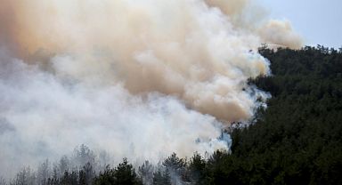 Karabük'te orman yangını yeniden başladı 