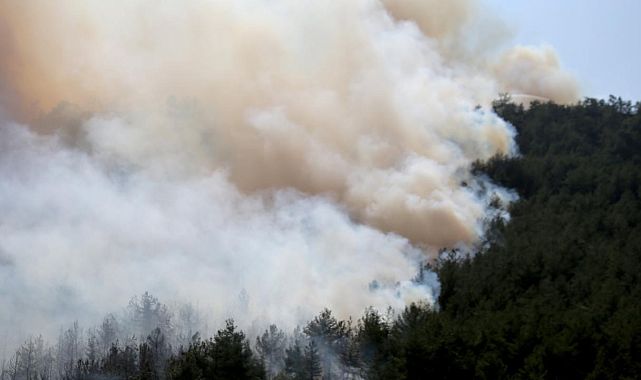 Karabük&#039;te orman yangını yeniden başladı