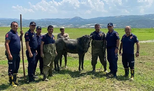 Katırlarını kurtarmak isterken kendisi de battı