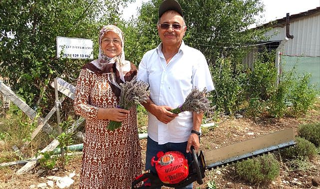 Kütahya’da lavanta hobisi şimdi para kapısı oldu
