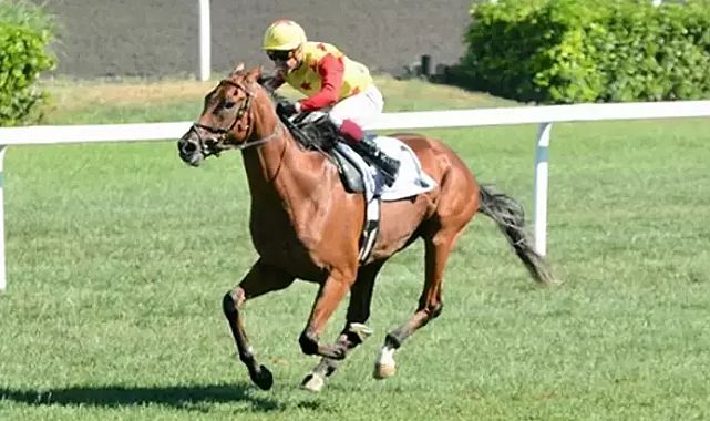 Mimar Sinan Koşusu’nu Brave Jumper kazandı