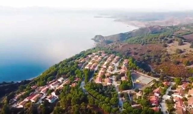 Seferihisar’daki yangın sonrası yürek burkan görüntüler