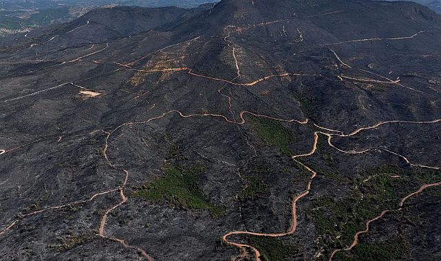 Seferihisar yangınına ihmal sebep oldu: Rapor açıklandı