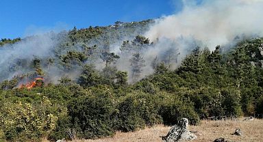 Soma’da orman yangını çıktı, müdahale sürüyor 
