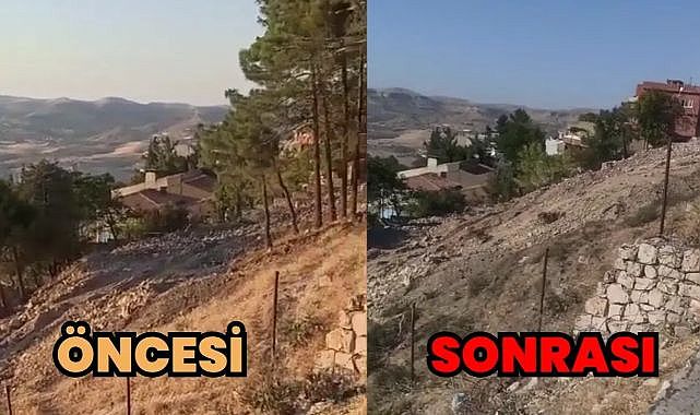 Tarihi Mardin’de AVM bahane edilerek ağaçlar kesildi