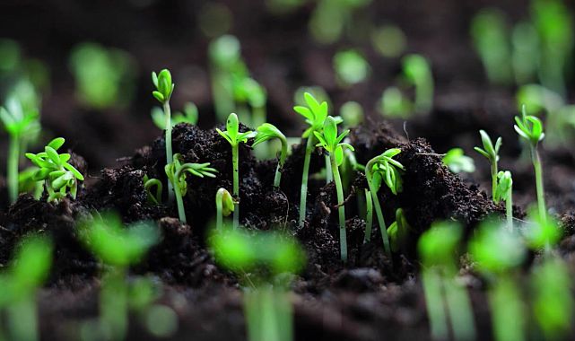 Tarım Bakanlığı’ndan bitkisel üretim desteklerine yeni düzenleme
