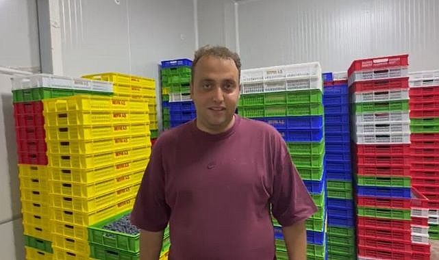 Yaban mersini üretimi büyüyor, kilosu 500 liraya satılıyor